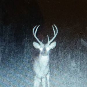 Meet your Posher, Zachary